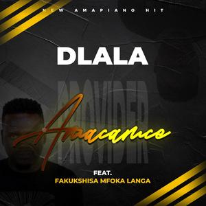 AMACAMCE (feat. FAKUKSHISA MFOKA LANGA)