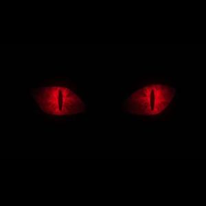 DEMON MODE (Explicit)