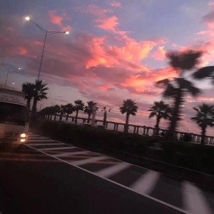 过活 (Live)