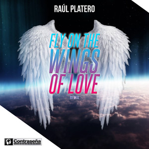Fly on the Wings of Love (Radio Edit)