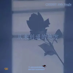 从未到过的地方