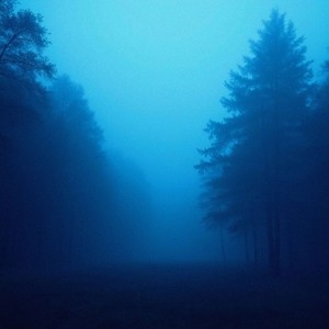 It's Time to Go Home