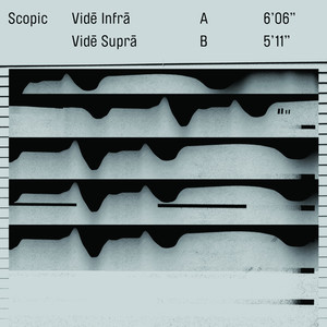 «vide Infra, Vide Supra»