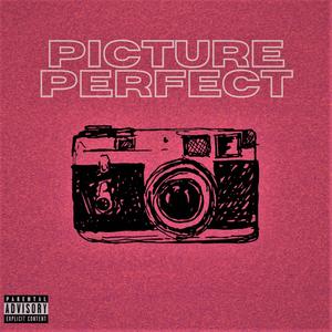Picture Perfect (Explicit)