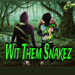 Wit Them Snakez (feat. Bakkwood Mir) [Explicit]