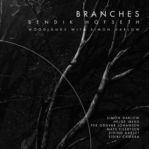 Branches (Forest Quadrology)