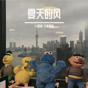 夏天的风