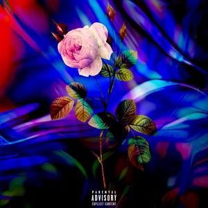 Steve - On me Luv... (Explicit)