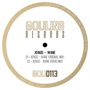 Wane (Radio Edit)