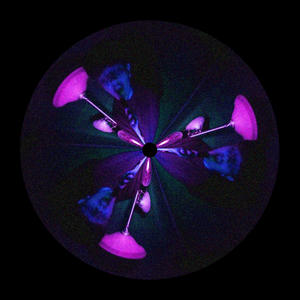 take u like a drug (feat. 4DGAJ) (Explicit)