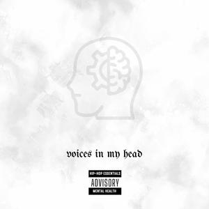 Voices in My Head (feat. Jaz Astwood, Teddy Basix & Q Banga The B. C. E.) [Explicit]