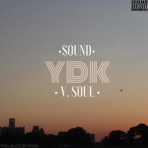 YDK(feat. V.Soul) (Explicit)