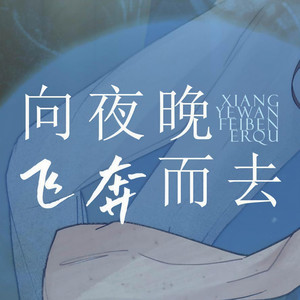 向夜晚飞奔而去 (国语)