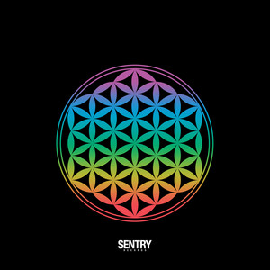 Dragon Shape (Original Mix)