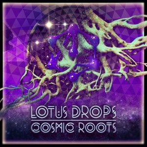 Cosmic Roots