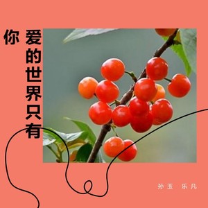 爱的世界只有你封面
