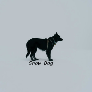 snow dog
