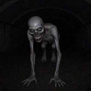 the hole