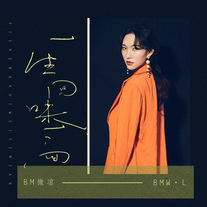 叶微岚 - 一生回味一面 (女声版)