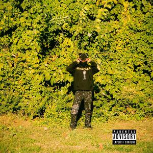Stolen Land(feat. CTthadon) (Explicit)