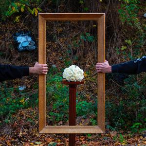 Fenêtre d'Overton (Explicit)