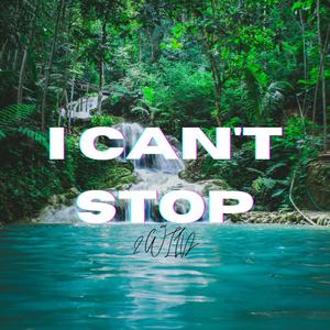 I Can't Stop (The Wave)