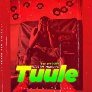 Tule