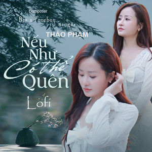 Nếu Như Có Thể Quên Lofi