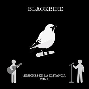 Blackbird