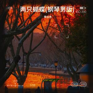 两只蝴蝶(钢琴男版)_伴奏 (伴奏)