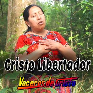 Cristo Libertador (De estudio)