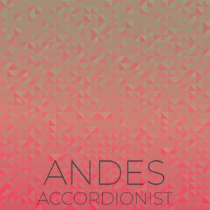 Andes Accordionist