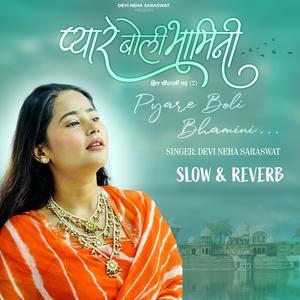 Pyaare Bole Bhamini Hit Chaurasi Pad Sankhya, Pt. 2 (Slow & Reverb)
