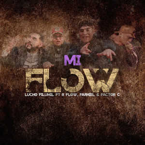 Mi Flow