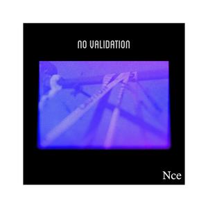 No Validation (Explicit)