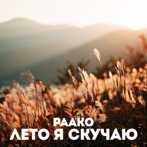 Лето я скучаю