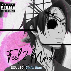 Feel2Much (feat. $inful Bluu) [Explicit]