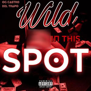 Wild In This Spot (Explicit)