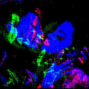 Poison Berry (feat. 48glo) (Explicit)