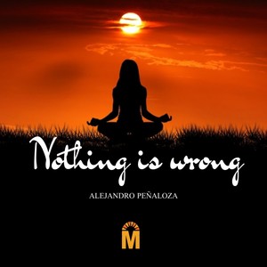 Nothing Is Wrong