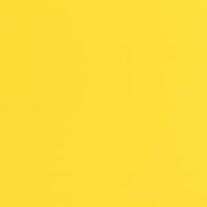 RING2ONE (Background Beat) (Instrumental)