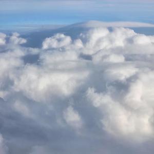 good evening starlight