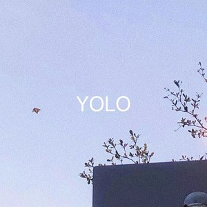 YOLO