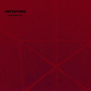 Imitating (feat. Edwin Rivera)