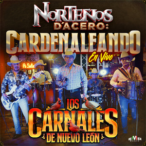 Norteños D'Acero: Cardenaleando (En Vivo)