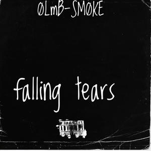 Falling Tears (Explicit)