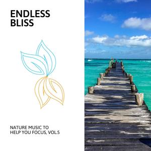 Endless Bliss - Nature Music to Help You Focus, Vol.5