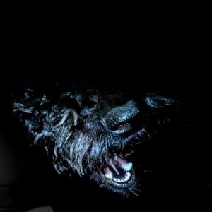 Ardes Revenge (Explicit)