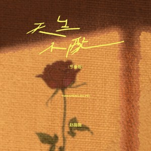 天生不配 (节奏版)
