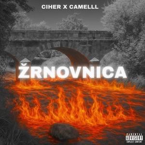 Žrnovnica (feat. Camelll) (Explicit)